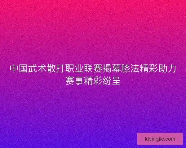中国武术散打职业联赛揭幕膝法精彩助力赛事精彩纷呈